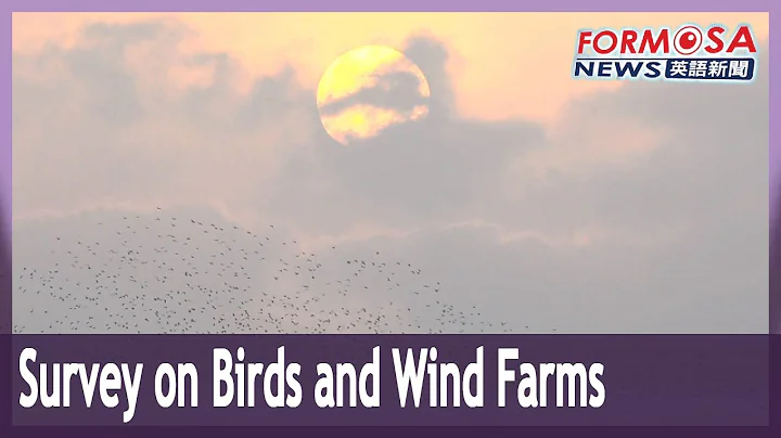Offshore wind farm developer to monitor farm’s impact on migratory birds - DayDayNews