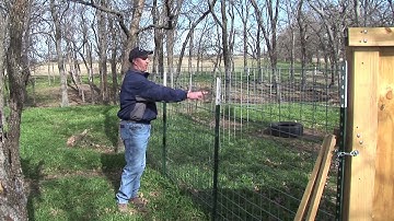 Jason Banta - Beef Cattle Management - Trapping Wild Pig