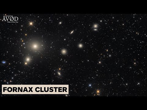 FORNAX CLUSTER