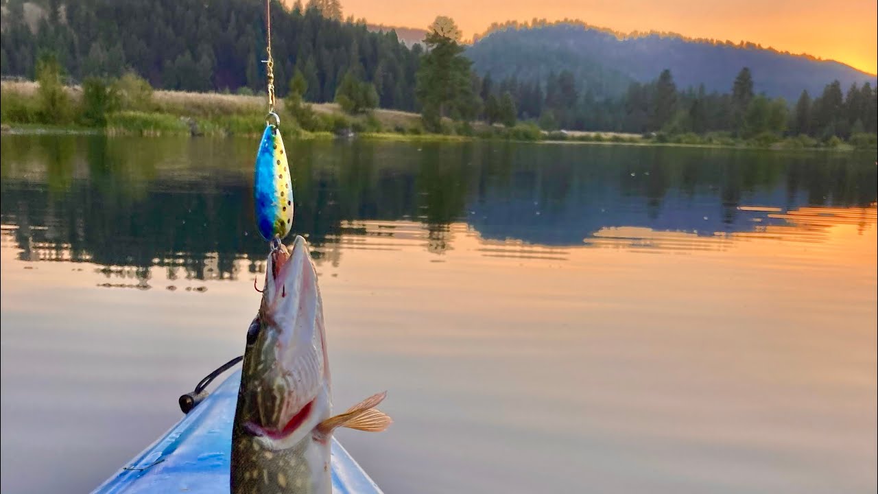 Montana Pike Fishing Blanchard Lake YouTube
