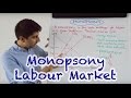 Monopsony - Labour Market Impact