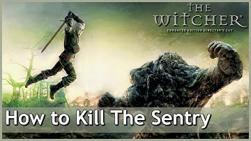 BOSS FIGHT | The Sentry BUG? (The Witcher) | No Commentary. Ultrawide 1440p60.