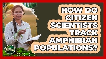 How Do Citizen Scientists Track Amphibian Populations? - Reptilian Wonders