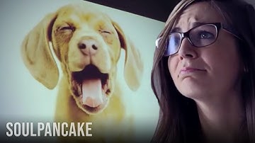 Why We Hug So Hard it Hurts | The Science of Happiness