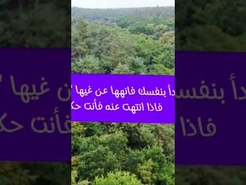 أبيات شعرية جميلة في نصح وتغيير النفس قبل الغير لا تنه عن خلق وتأتي مثله شعر وقصائد أدب