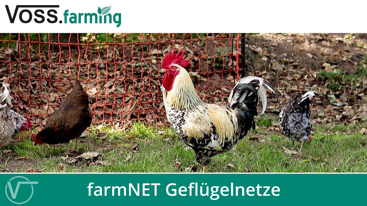 Der ideale Geflügelzaun - VOSS.farming farmNET Geflügelnetze
