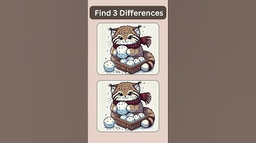 Find 3 differences#577