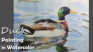 How to Paint Duck in Water in Watercolor