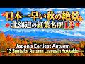 日本一早い秋の絶景 北海道の紅葉名所13 Autumn Foliage in Hokkaido 北海道観光 紅葉の名所 大雪山 旭岳 黒岳 美瑛 富良野 十勝岳 青池 層雲峡 北海道大学