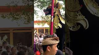 Pelebon Ida Ayu Nyoman G Manik Tebesaya Ubud