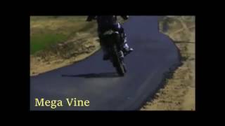 Mega Vine #1