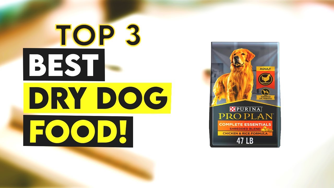 Top 3 Best Dry Dog Food 2022!🔥✅