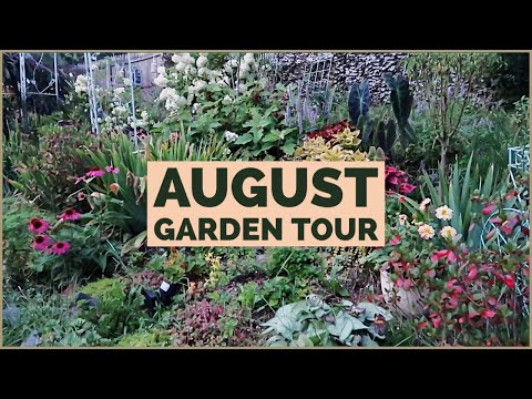 Video: Tuinkleurskemas - Leer oor kleurvolle tuinstrukture en -stutte