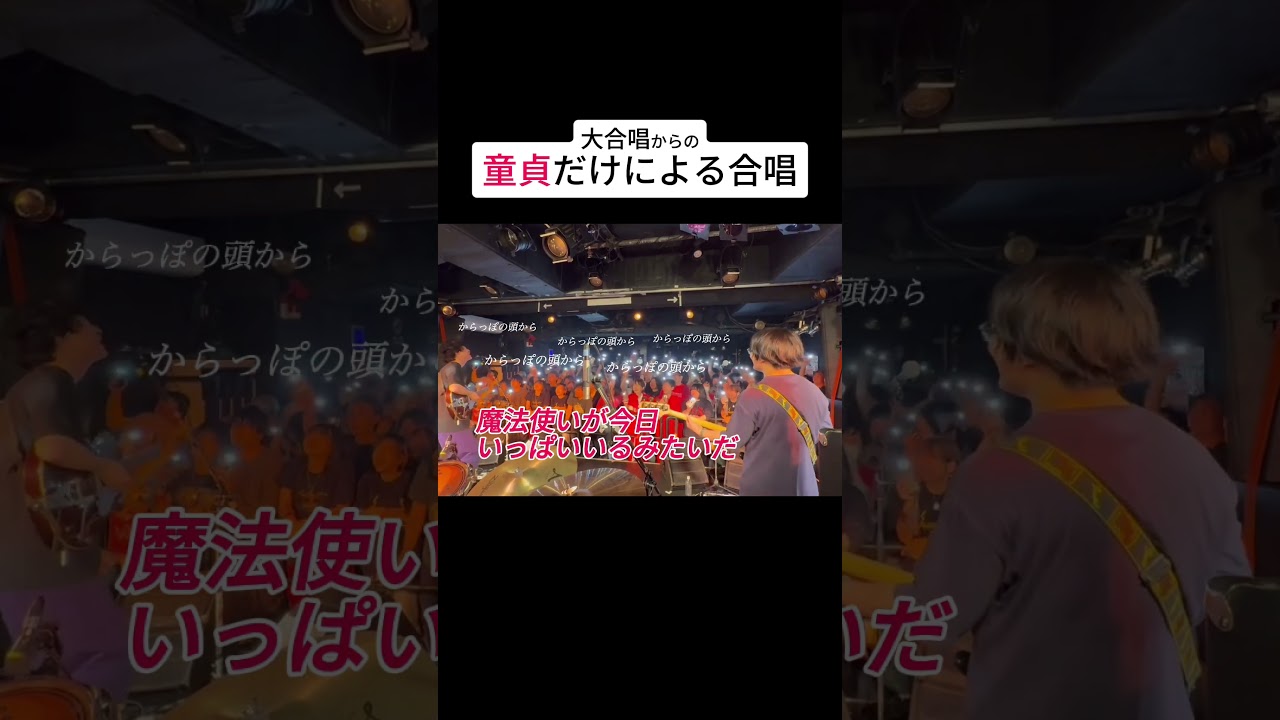 魔法の国だった #邦ロック #バンド #ライブ #忘れらんねえよ