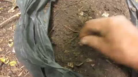 Готовлю грунт для пересадки банана