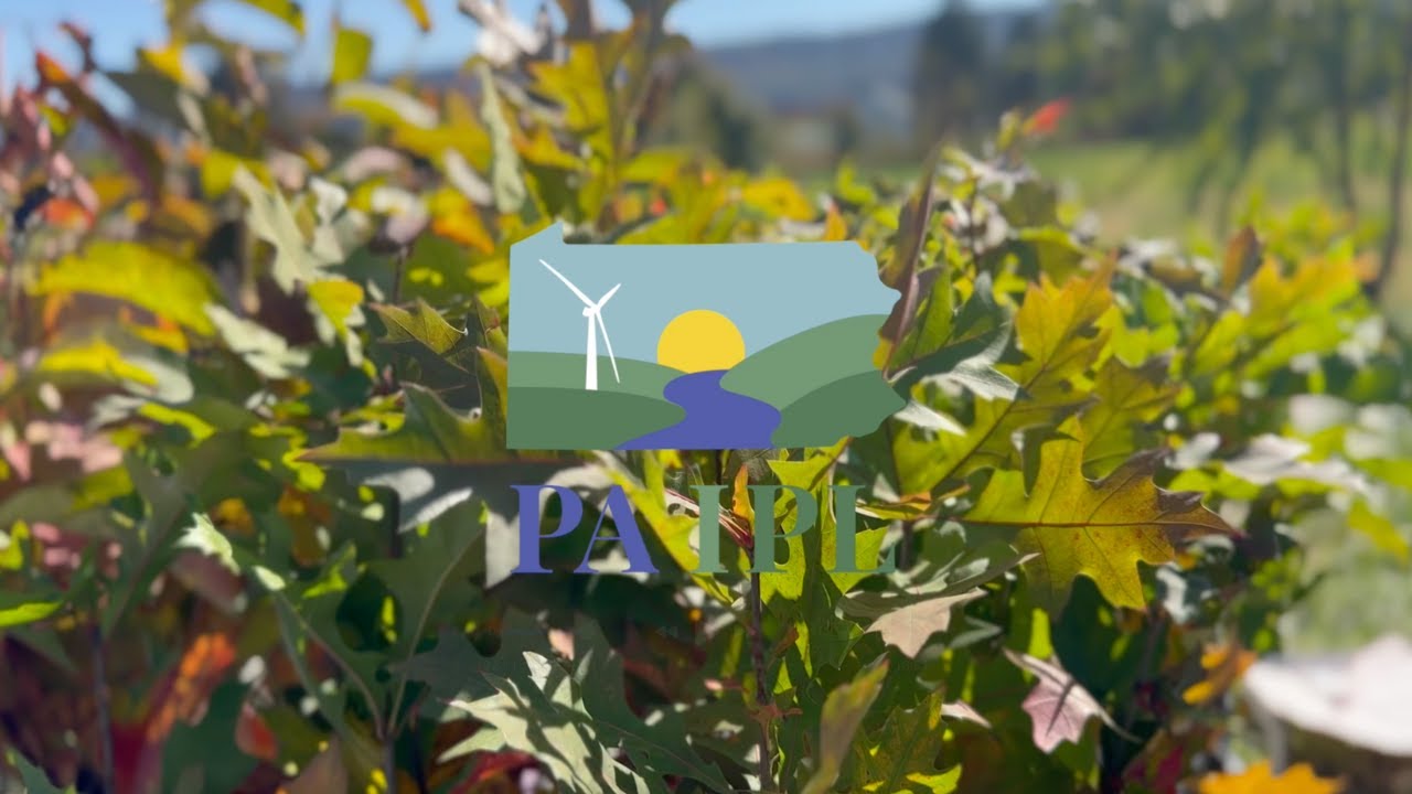 2025 Multi-faith Tree Stewardship: PA Plants Native!