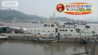 中国、違法行為のサンゴ船は「破壊する」と明言(14/11/17)