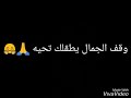 وقف الجمال يطقلك تحيه
