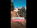 أ ف ب 2500 كولومبي شاركوا مع الدعم السريع في معارك دارفور وحصار الفاشر