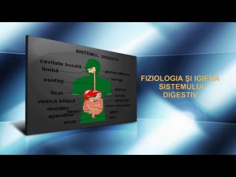 Video: Digestia Carbohidraților: Absorbție, Enzime, Proces și Multe Altele
