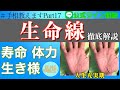 【生命線解説】手相教えます!生命線の長さ・太さ・濃さ・張り出しについて徹底解説。鑑定歴22年占い師が教える手相勉強会第17回。#生命線 #手相 #寿命
