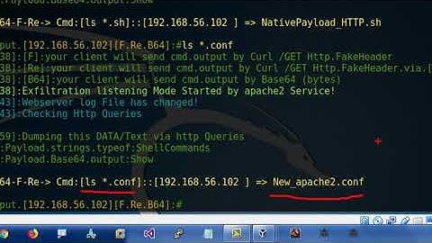 Chapter 12 - Video [1] Simple way for Data Exfiltration via HTTP Traffic