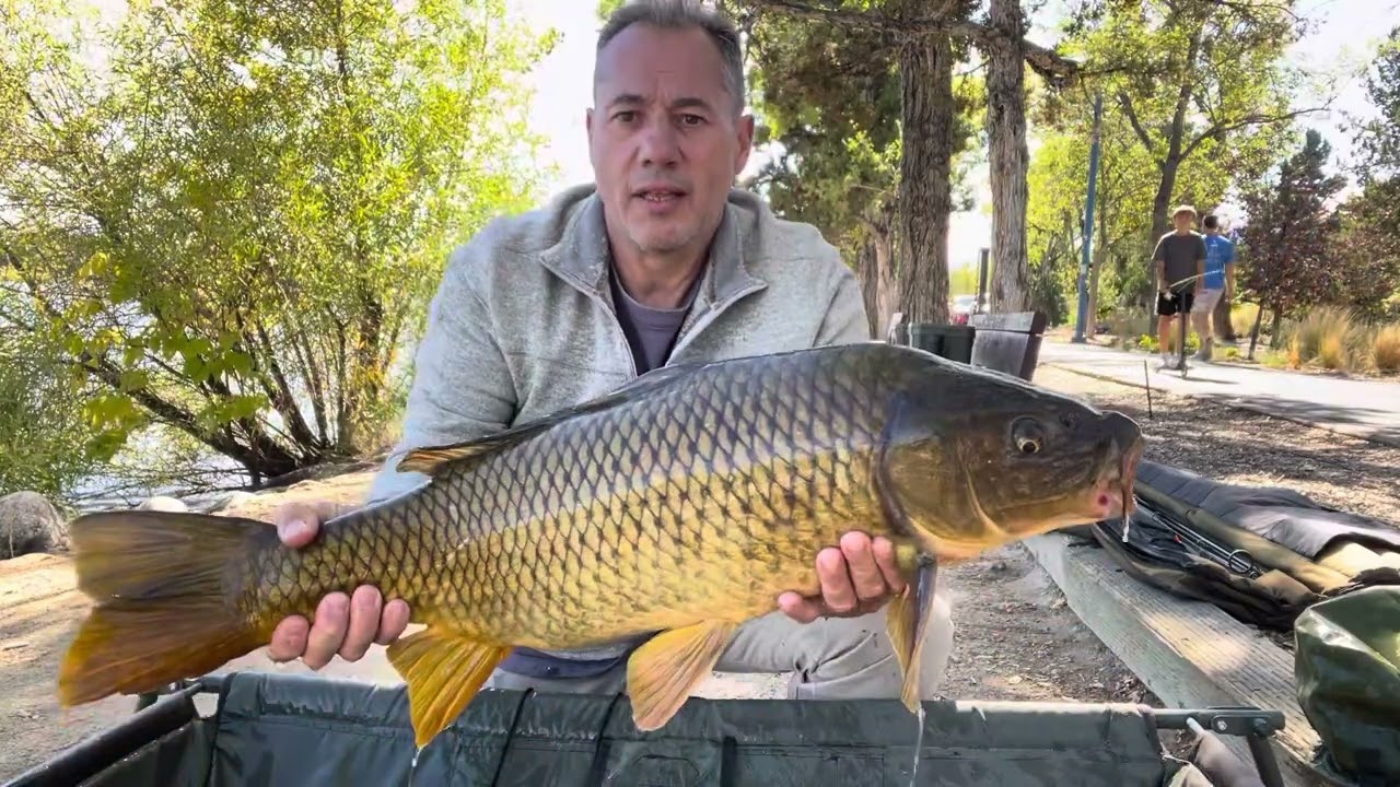 Big carp fishing Reno nv 