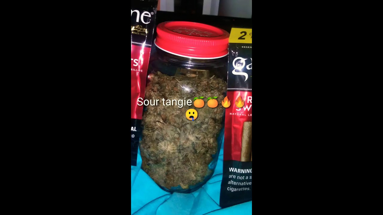 Sour Tangie🔥🔥🍊