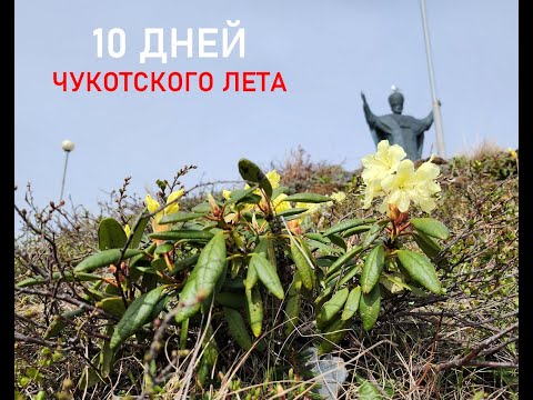 10 дней чукотского лета