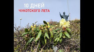 10 дней чукотского лета