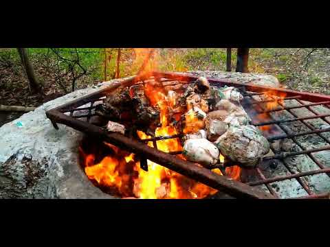 Can You Burn Biodegradable Nappies