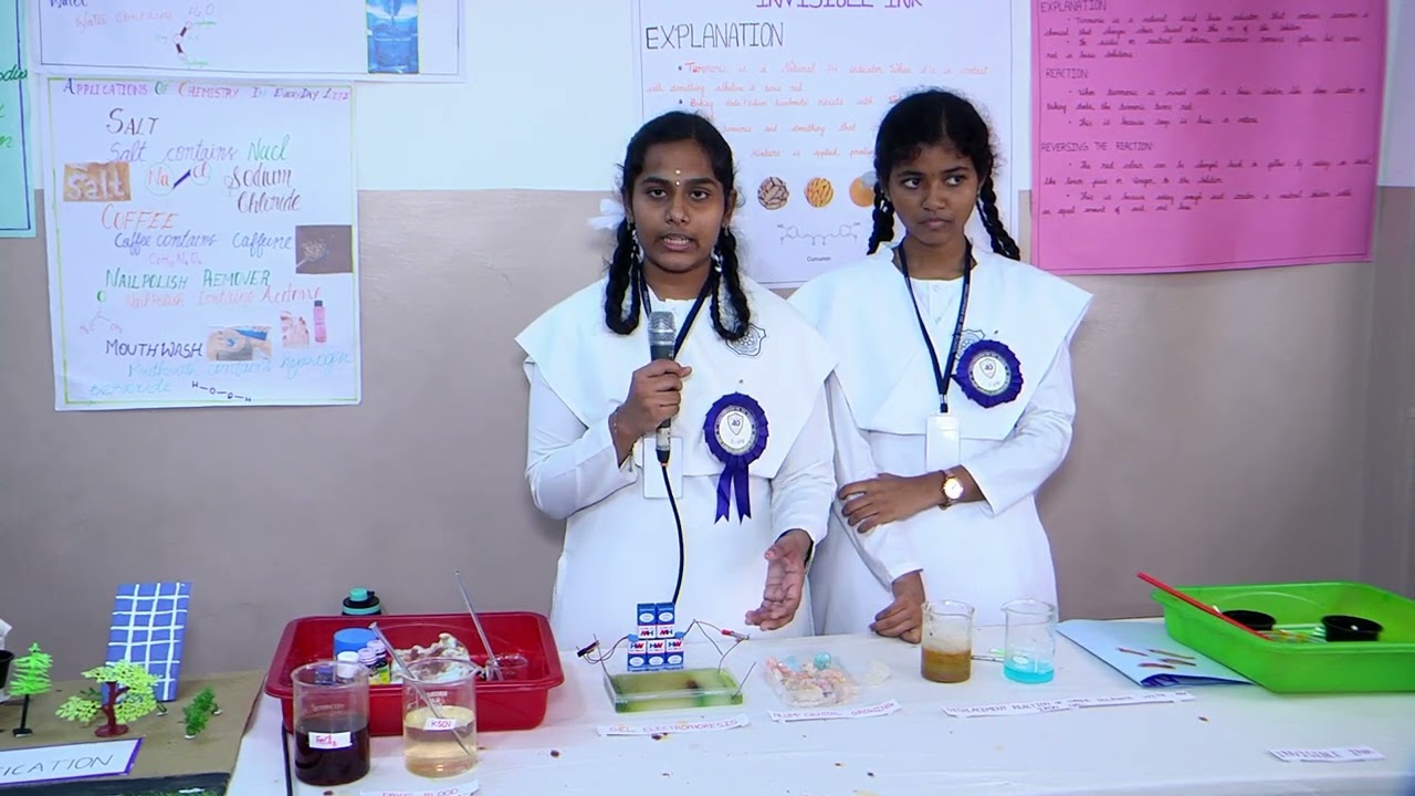 Std 12 - Science Exhibition Project | S 458 GROUP OF CHEMISTRY EXPERIMENTS 12th
