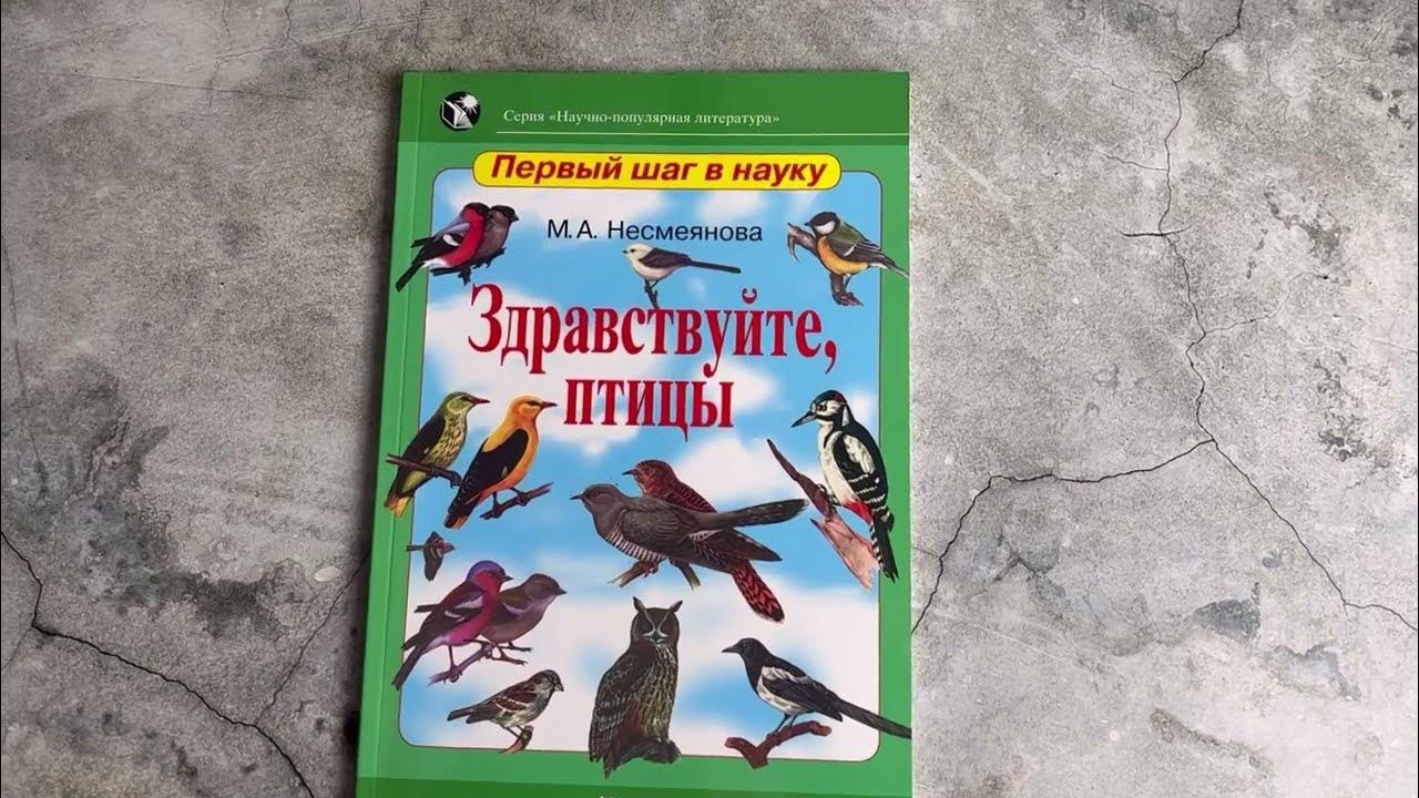 несмеянова м. научно популярная литература про птиц. 1 апреля международный день птиц. здравствуйте птицы. несмеянова здравствуйте птицы иллюстрации.