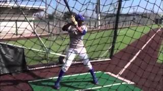 MLB UYA NOLA CLINIC RON WASHINGTON AND FRIENDS 2015 JAN