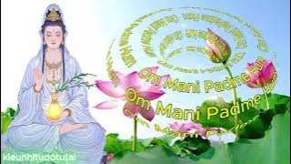 Om Mani Padme Hum 3 Hours - ཨོཾ་མ་ཎི་པདྨེ་ཧཱུྃ - ॐ मणिपद्मे हूँ - Án ma ni bát mê hồng