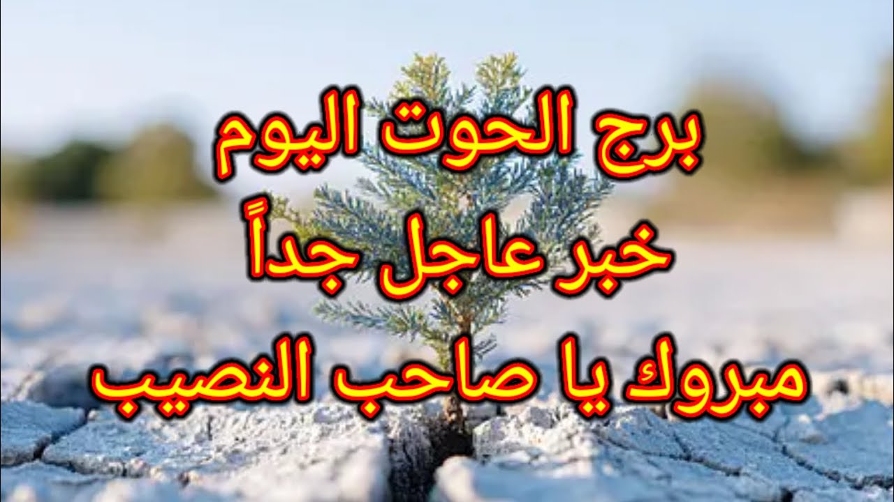 توقعات برج الحوت اليوم 🐳 خبر عاجل جداً 👉 مبروك يا صاحب النصيب 🎉 الجمعه