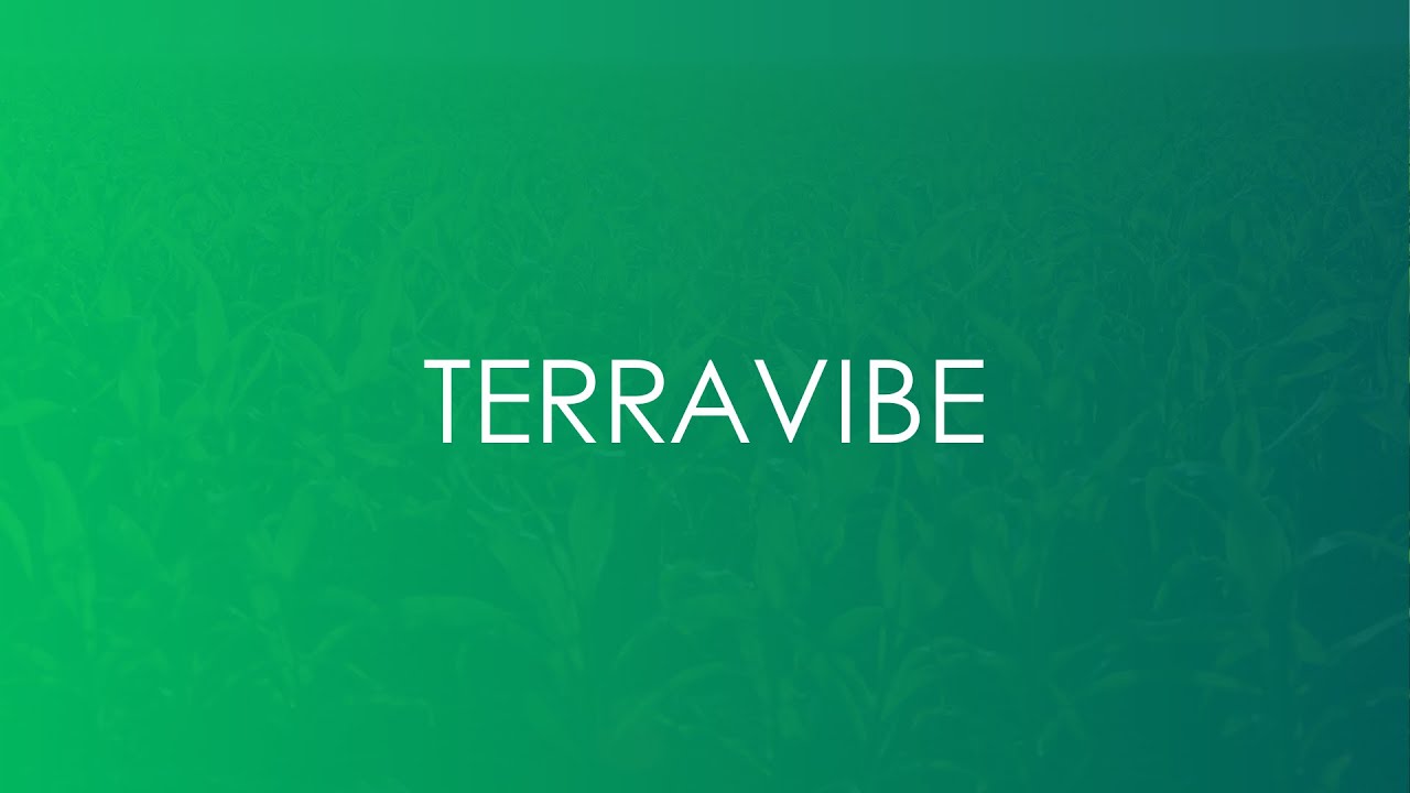 TerraVibe - Pitch