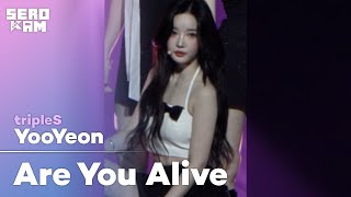 YooYeon (유연) | tripleS (트리플에스) - 깨어 (Are You Alive