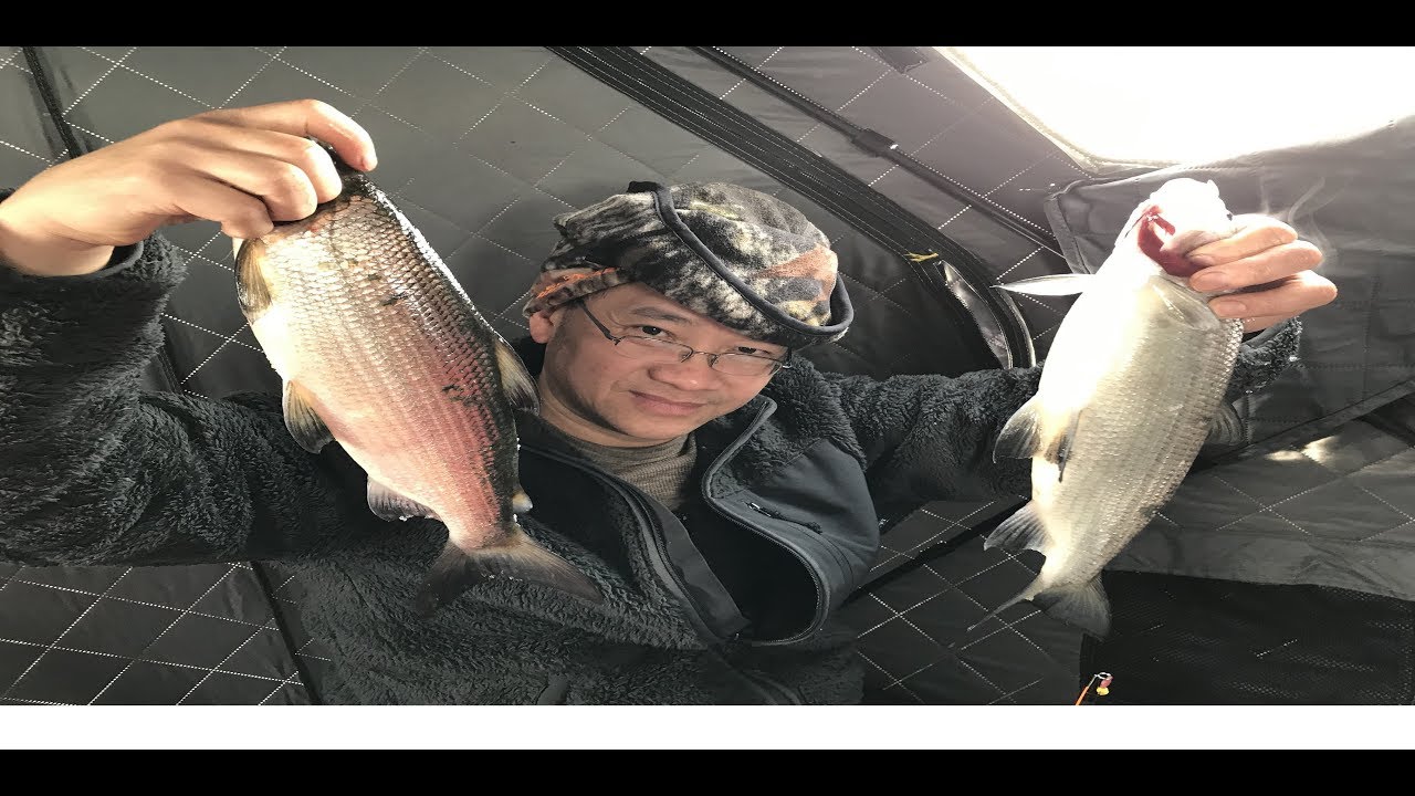 Ice Fishing Tullibee and Crappie 2019/Nuv Ntses Caij Ntuj No nyob