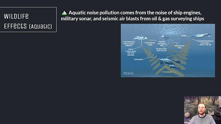 AP Environmental Science 7.8 - Noise Pollution - DayDayNews
