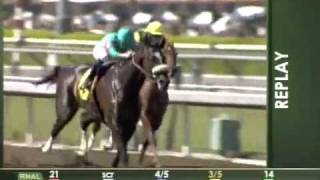 Zenyatta (8) Lady's Secret Stakes 2008 - Santa Anita Park
