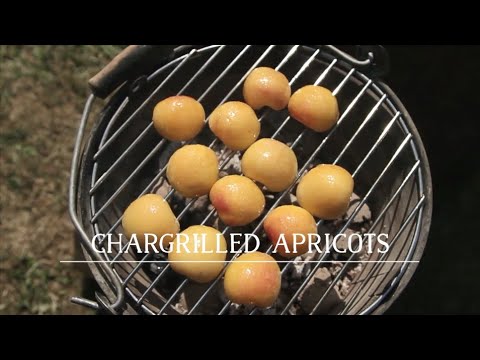 TOM HUNT  CHARGRILLED APRICOTS, RICOTTA, HONEY & TOASTED APRICOT KERNELS