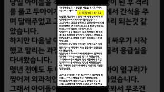 고양이합사 행동교정.한국반려동물상담센터