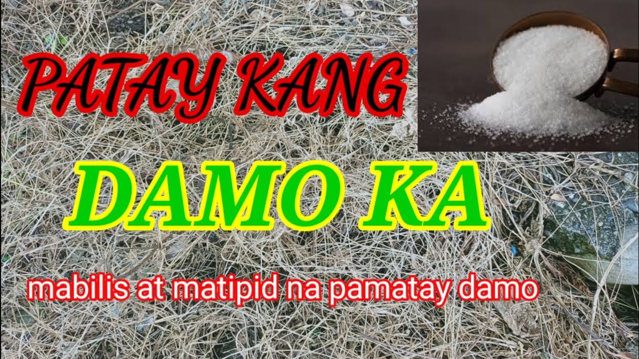 MABILIS AT MATIPID NA PAMATAY DAMO