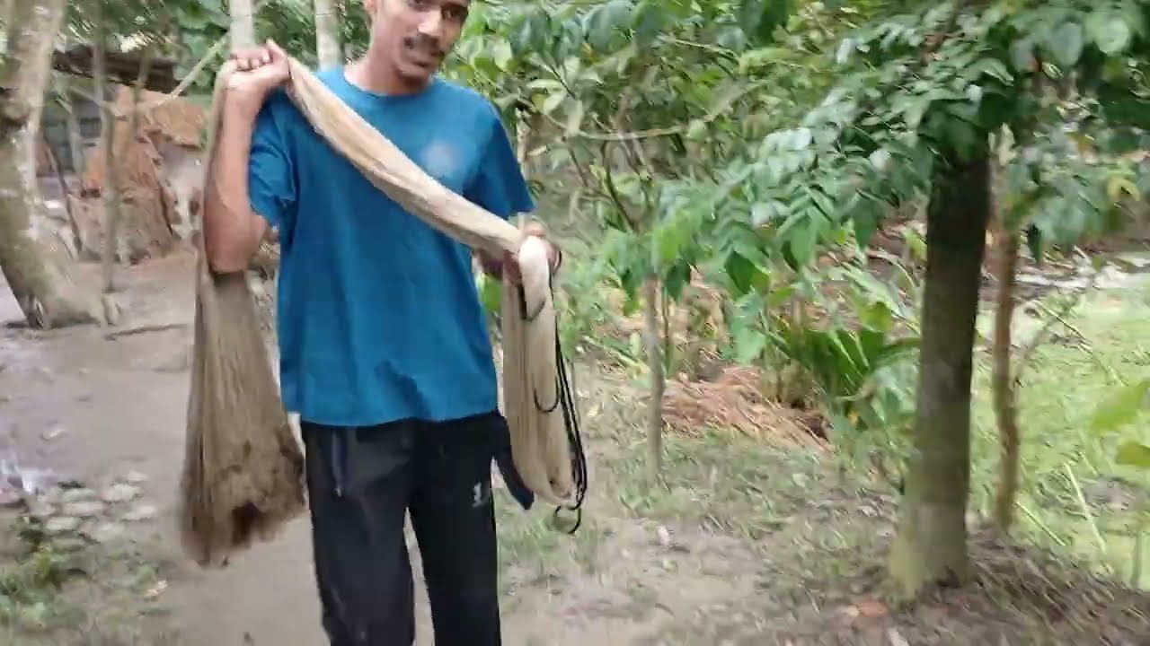 Net Fishing In Village Pond With Traditional Net || 