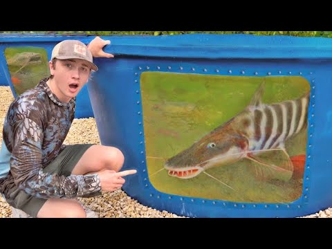 ¡Compré el pez de acuario más raro del mundo!