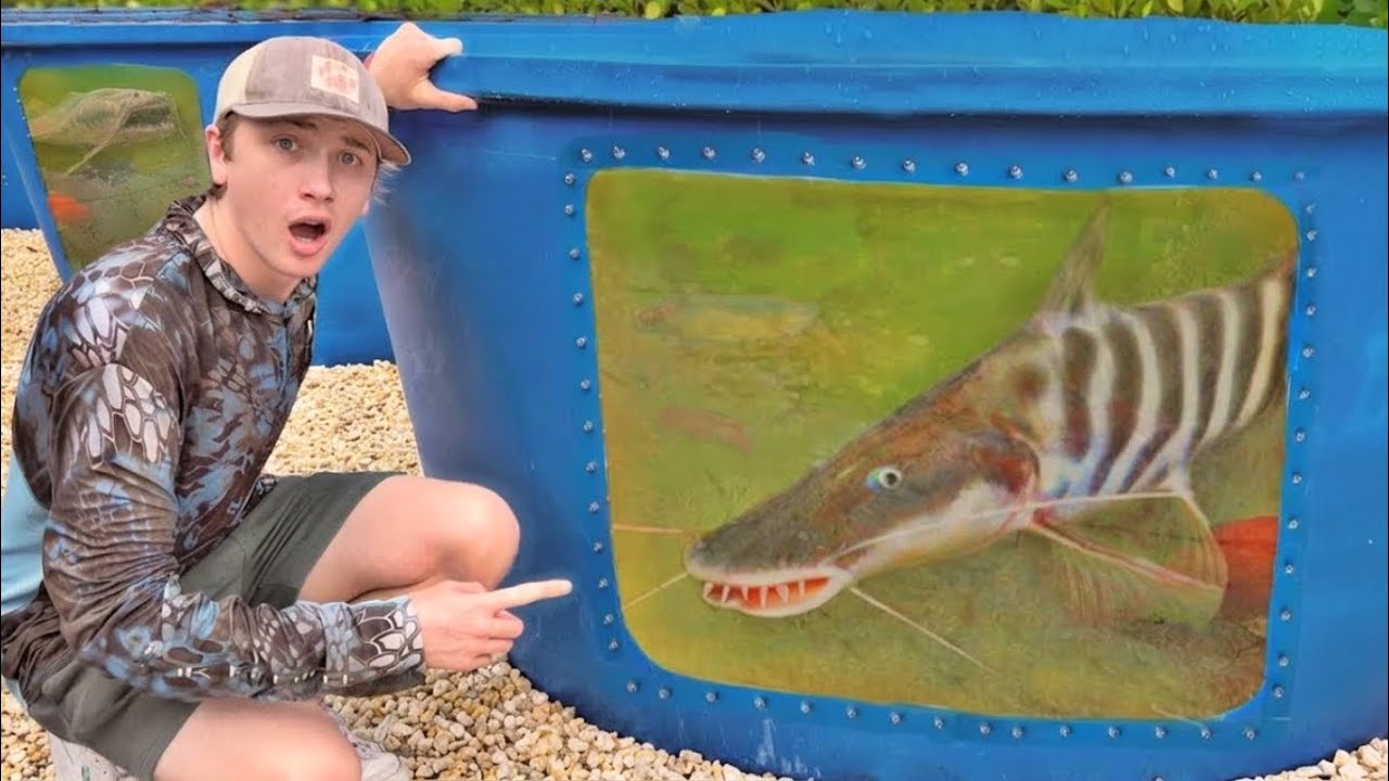 ¡Compré el pez de acuario más raro del mundo!