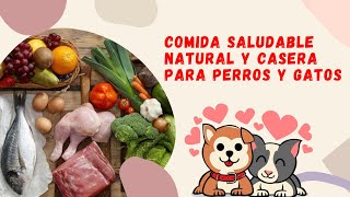 Comida Saludable para Perros y Gatos Natural y Casera