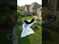 Building  a DIY Dolphin Shaped Pond  Satisfying Construction Timelapse #timelapse