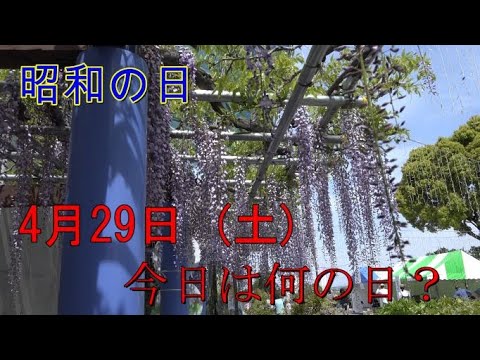 4月29日（土）今日は何の日？